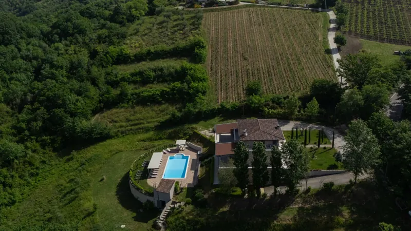 Vigneti intorno alla villa